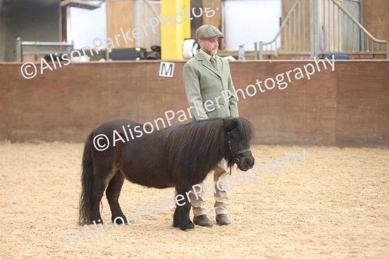 20251109-0325 - Class 13 - Mares 4 Years and Over