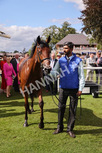 yr19082022r3-56 - Race 3 3.00pm Al Basti Equiworld Dubai Gimcrack Stakes