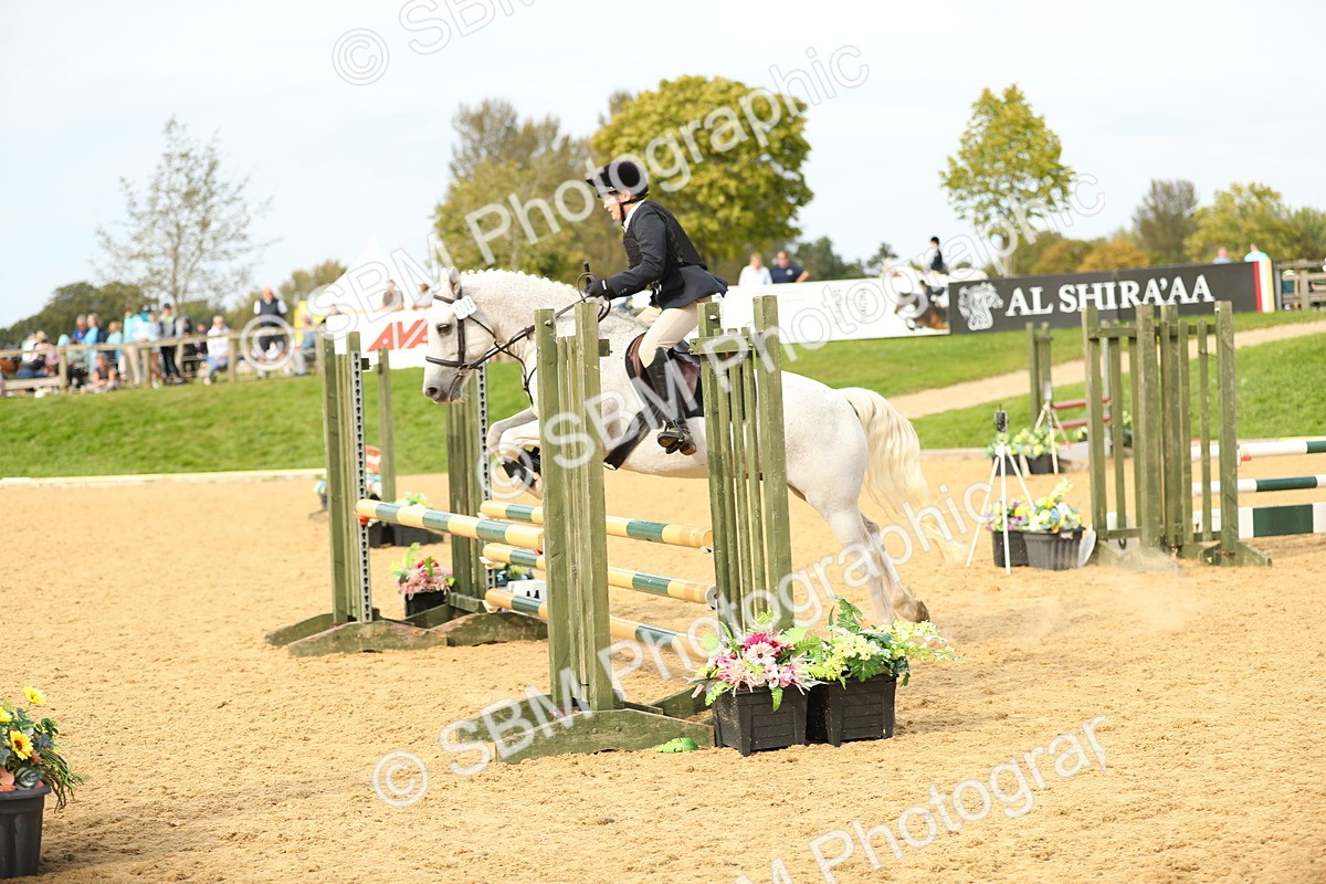 SBM_70347 - J18 - Junior Pony 85cm Championship