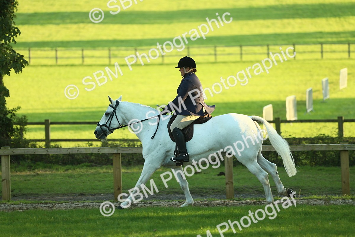 SBM_56439 - S14 - Riding Club Horse