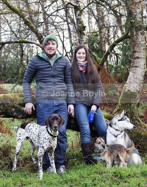 jenkev1 - Dog Portrait Photography