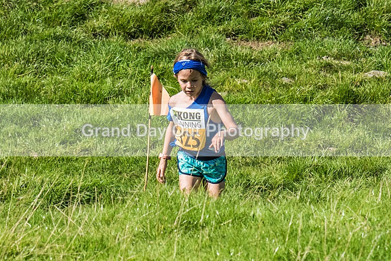 Loweswater Show-58 - Loweswater Show Junior & Senior Fell Races Sunday 3rd September 2023