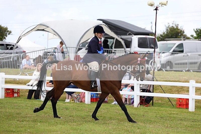 3E7A1295 - Class 8: Open Riding Horse/Hack