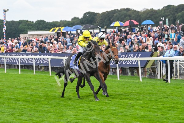 220825-Race 3-Lifeplan-7131 - Race 3 3.00pm Al Basti Equiworld Dubai Gimcrack Stakes