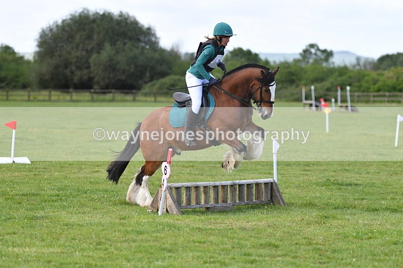 WJ5_2658 - Class 2 40cm