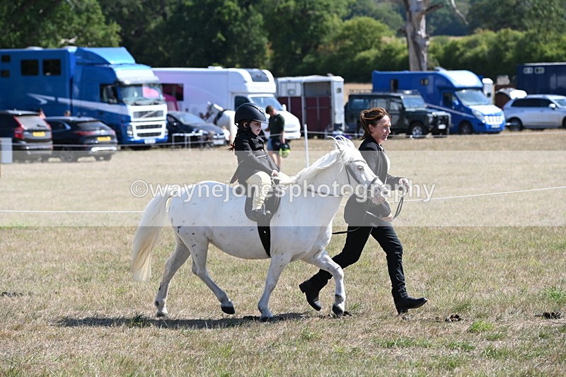 WJ6_7844 - Class 36 Lead Rein