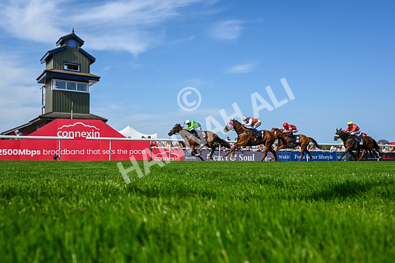 130826-Race 4-Shazani-5295 - Race 4 15.45pm Connexin Super Fast Sprint Handicap