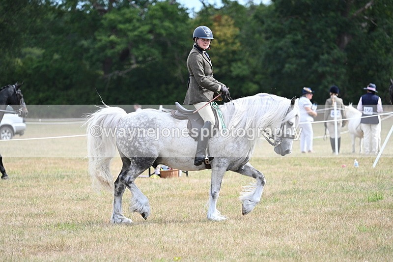 WJ7_5579 - Class 12 Ridden Cob