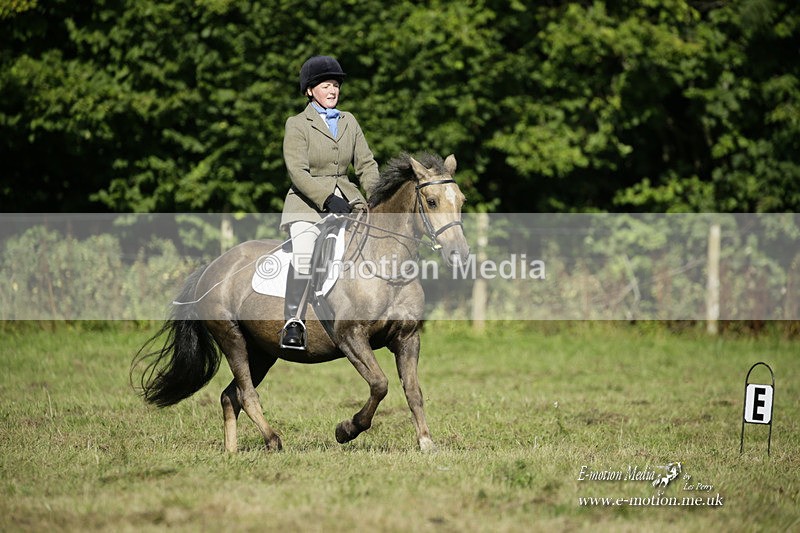 BVRC 120921 156 - Bourne Valley Riding Club UA Dressage & Show Jumping 12/09/21
