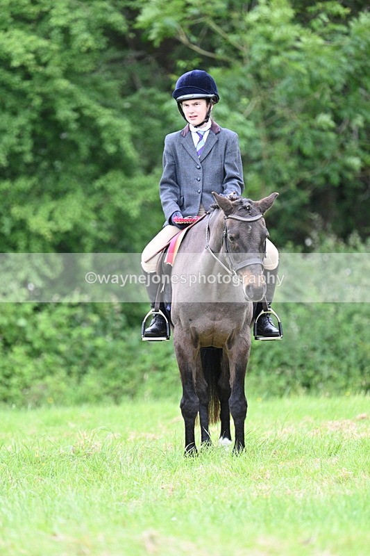 WJ7_4545 - Class 14B Prettiest Mare