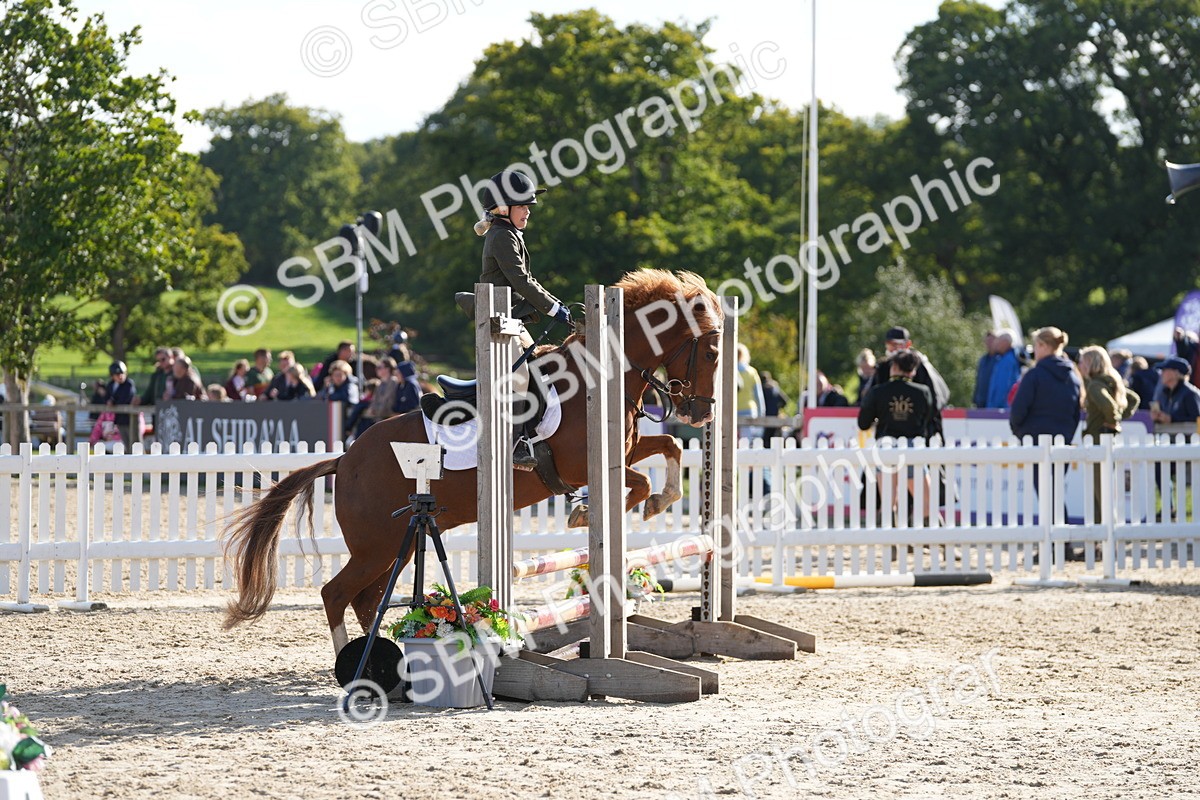 SBM_49364 - J8 - Junior Pony 65cm Championship