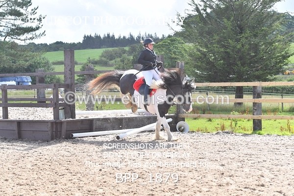 BPP_1879 - DERBY CLASS 5 - 60CM