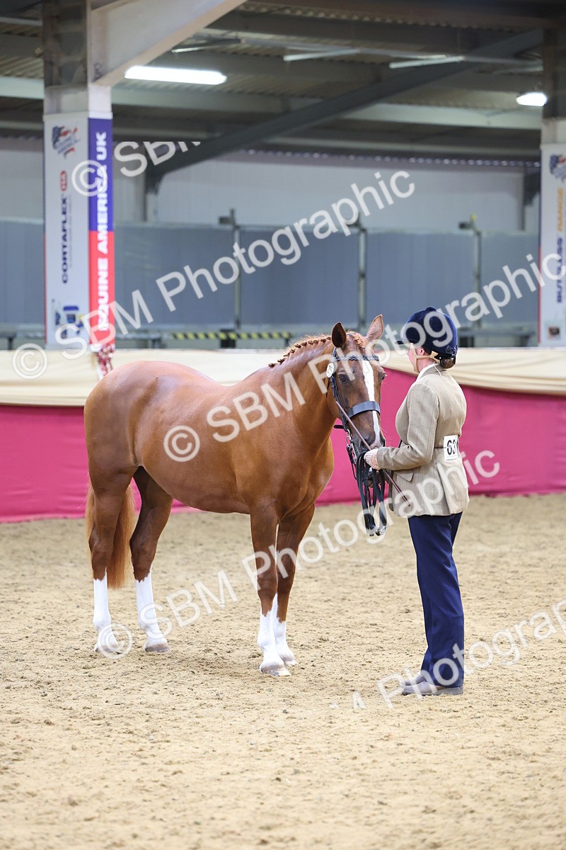 SBM_23220 - Supreme Final - IH Champion