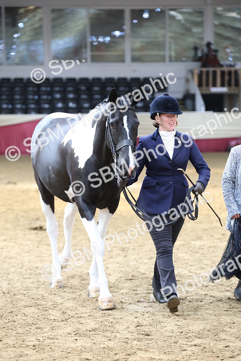 SBM_23388 - Class 903 - Supreme Final - IH Pre Vet