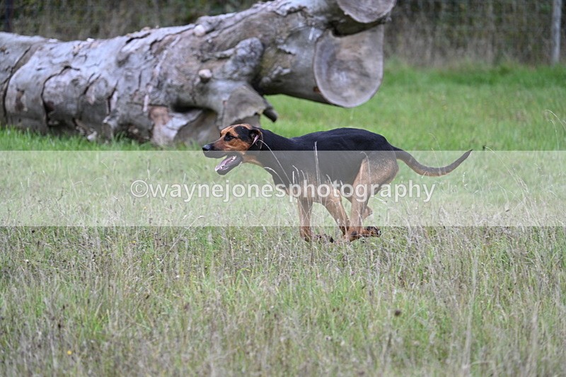 WJ7_3518 - Camera 1 Line 1