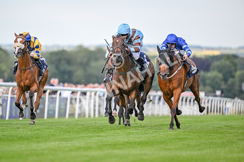 220724-Race 4-Alices Impact-2772 - Race 4