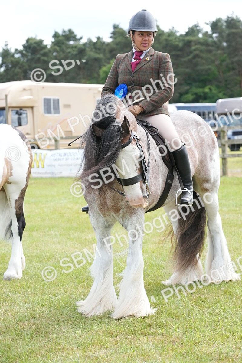 SBM_17322 - Class 107-108 - LIHS BSPS Performance Coloured Horse Pony