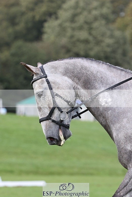 231019-143234-04012 - 681-CAPPA.OREO-Will.van.Ufford-DR