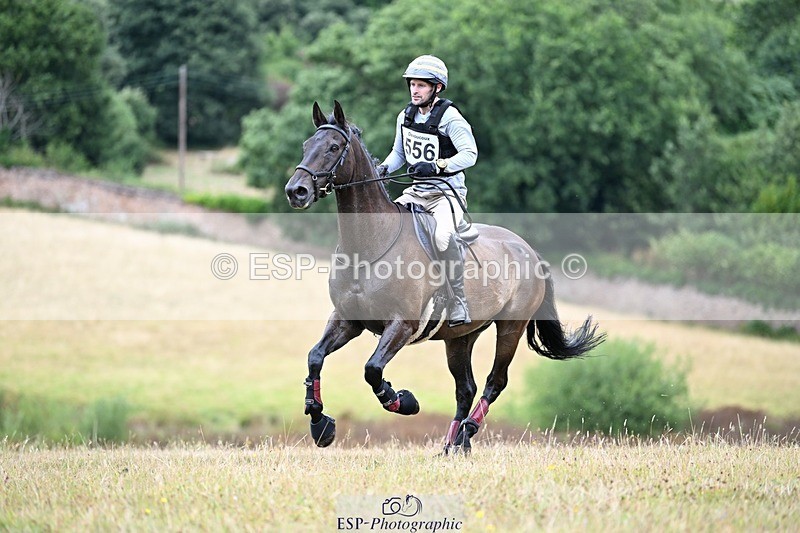 250803A-124625-13307 - M-556-Alex.Jupp-CARRY.ON.REGARDLESS