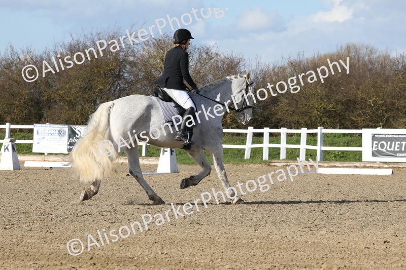 20260314-5110 - CT6 - Elementary 1