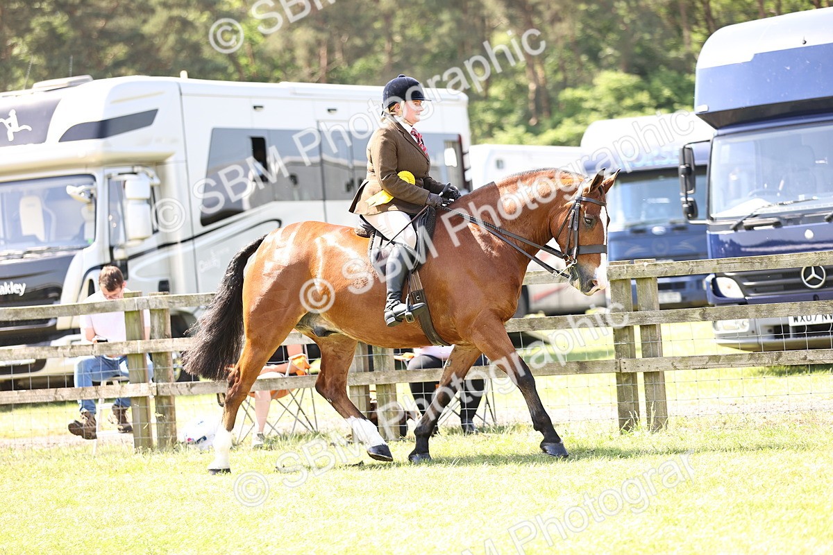 SBM_13851 - Class 77 - LIHS BSHA Rising Star Cobs