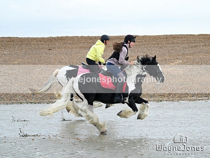 WJ7_9441 - Hayling Island Beach Shoot 22-09-24