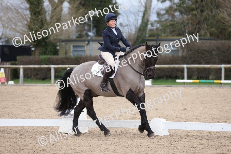 20260301-0282 - Class 3 - Novice 4