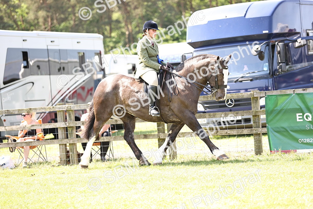 SBM_13849 - Class 77 - LIHS BSHA Rising Star Cobs