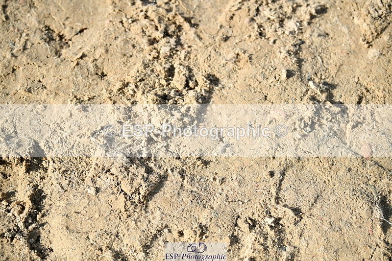 251004A-153651-01899 - Classes 8 & 9 70cm