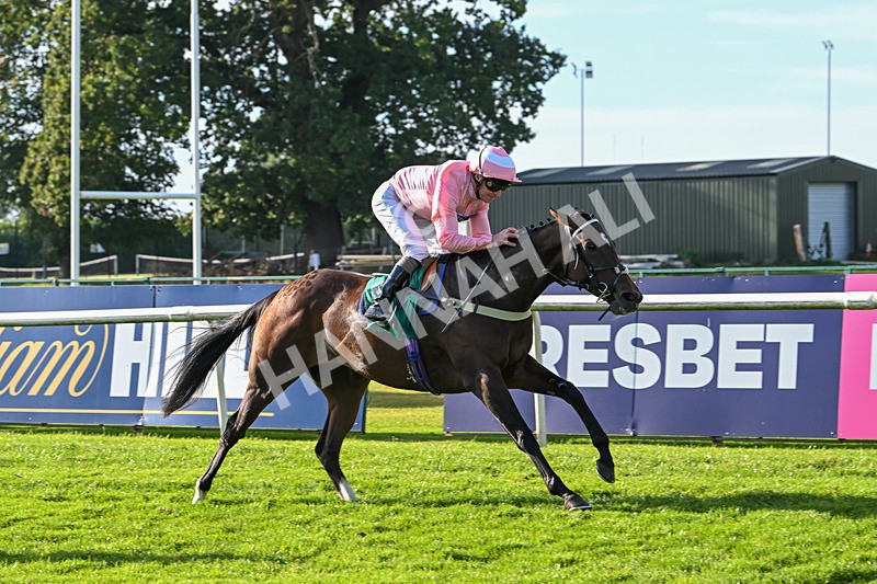 160924-Race 7-Style Of Life-3275 - Race 7