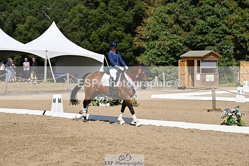 250810A-153328-08177 - Adv Medium SILVER Presentations