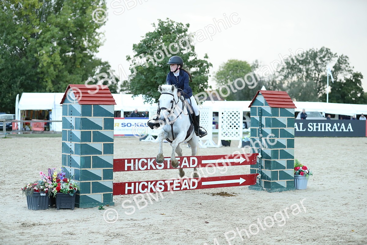 SBM_53725 - Supreme Championship 65cm 70cm