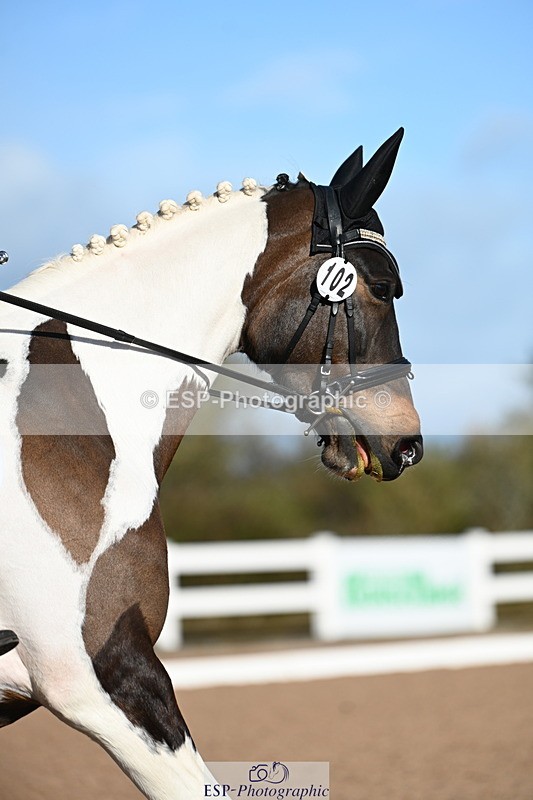 240323A-091114-00873 - MyQuest Intro A