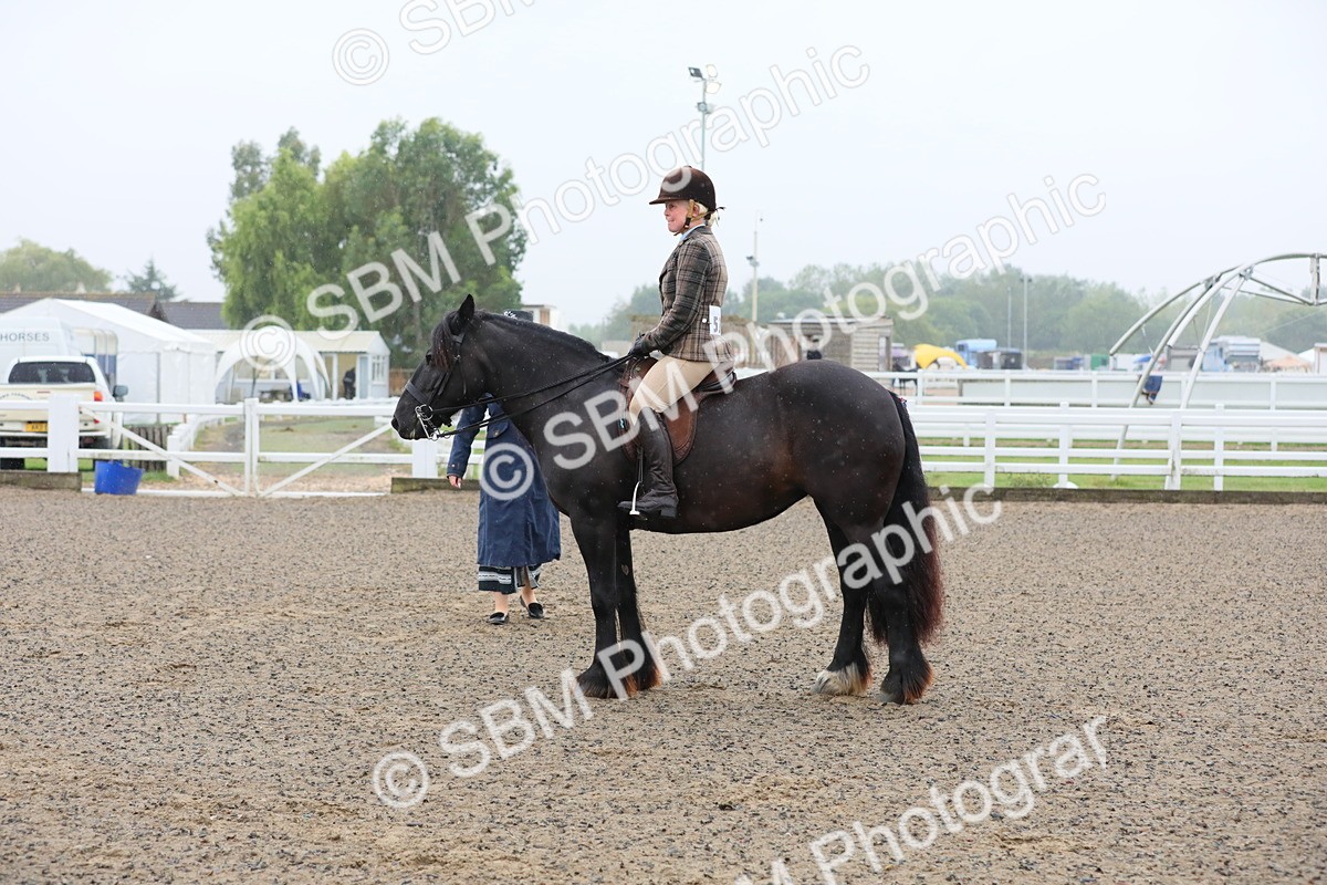 SBM_19876 - Class 801 - Ridden Veteran