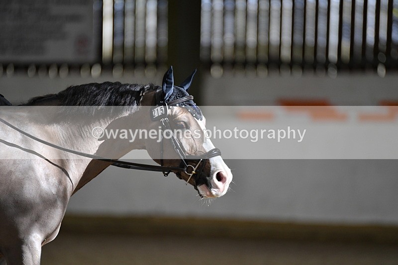 WJ5_2013 - Time 10:30 to 11:07