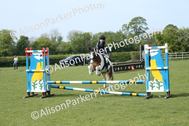 20260426-1764 - Class 14 - Novice 60cm