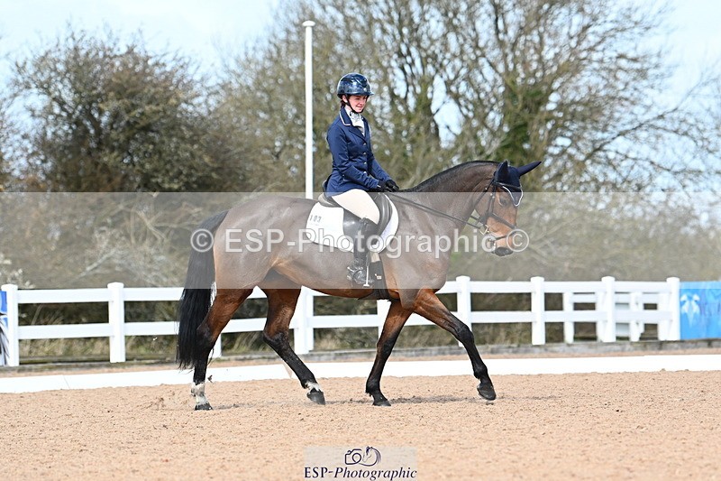 240323A-115405-02709 - DR Novice 34