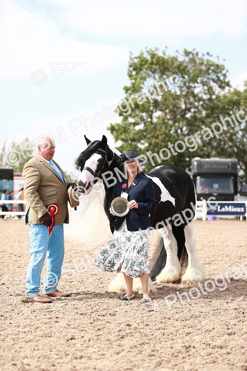SBM_13943 - Class 209 IH Veteran Pony