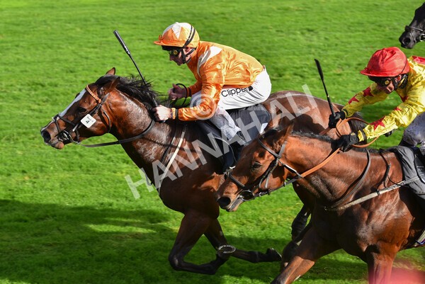 yr07102022r3-28 - Race 3 3.15pm British EBF £100,000 2yo Series Final (Colts and Geldings)