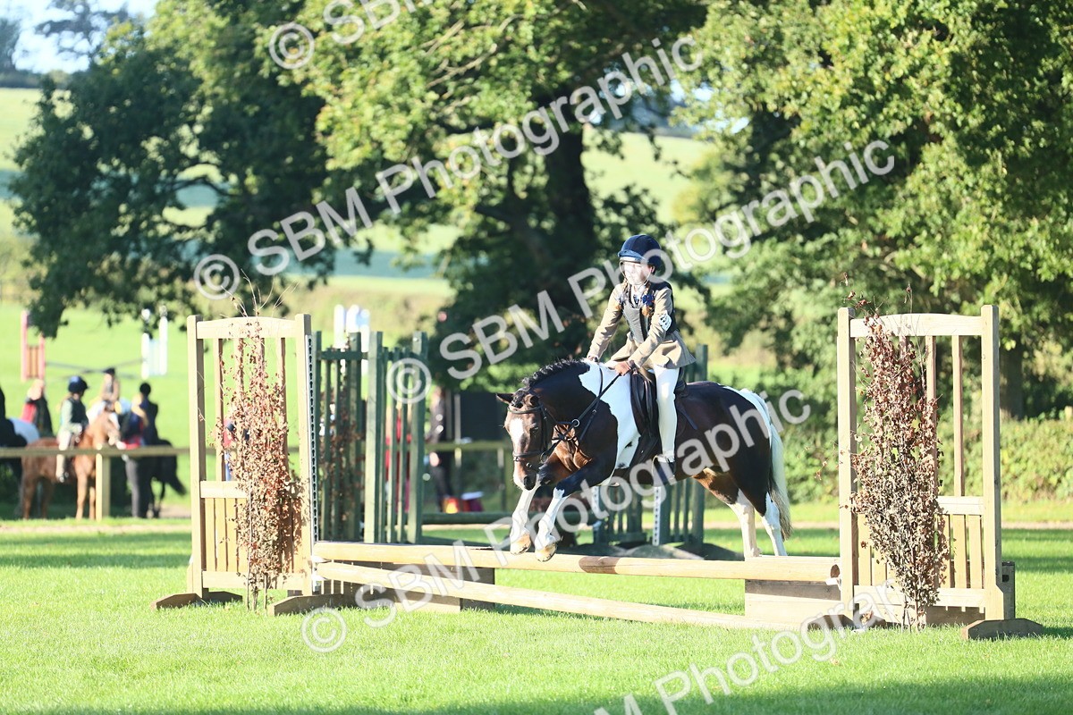 SBM_32230 - S28 - Nursery Stakes Working Hunter Pony