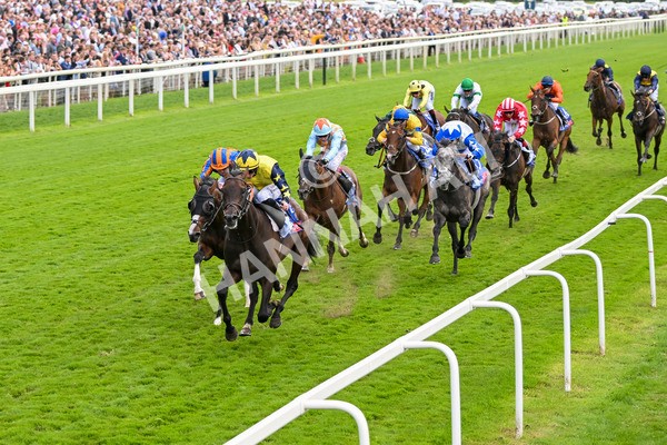 240824-Race 2-Tabletalk-1311 - Race 2 2.25pm Sky Bet Melrose Handicap