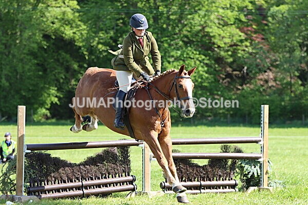 IMG_4897 - Working Hunter