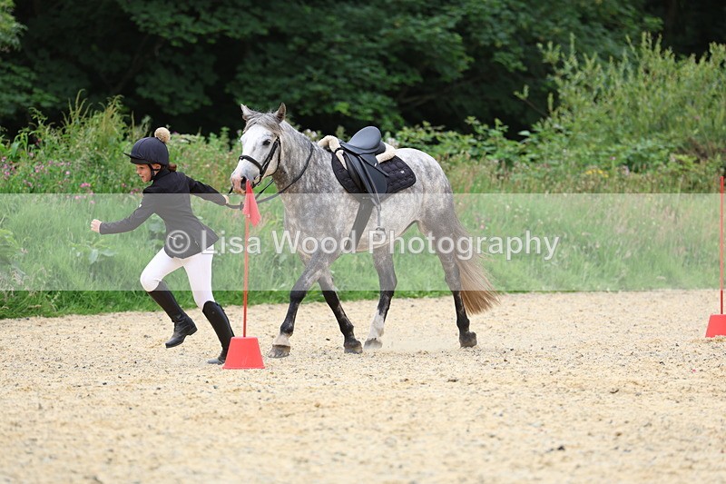 3E7A9592 - Walk trot run