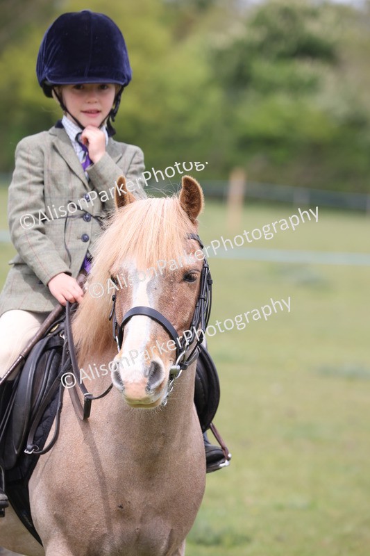 20260426-3033 - Class 33 - Best Pony 14.2hh and Under