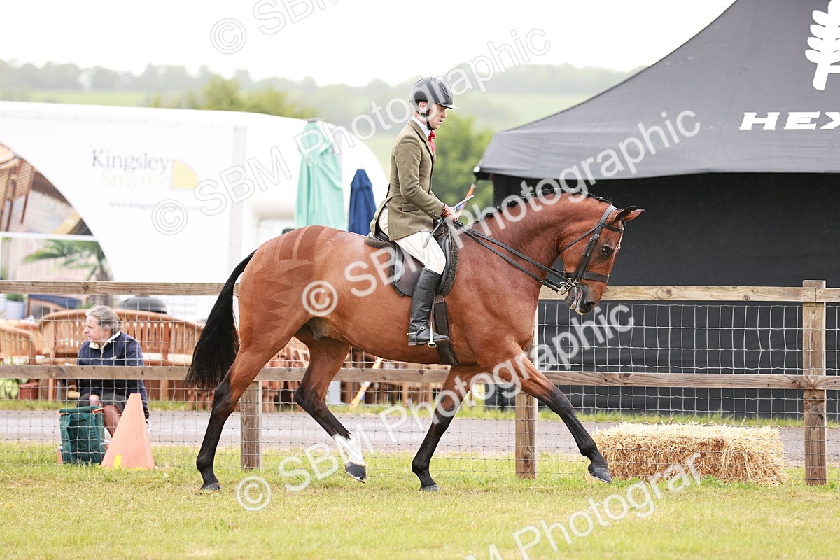 SBM_10744 - Class 81-84 - RIHS Ridden hunters Inc Ladies Hunter