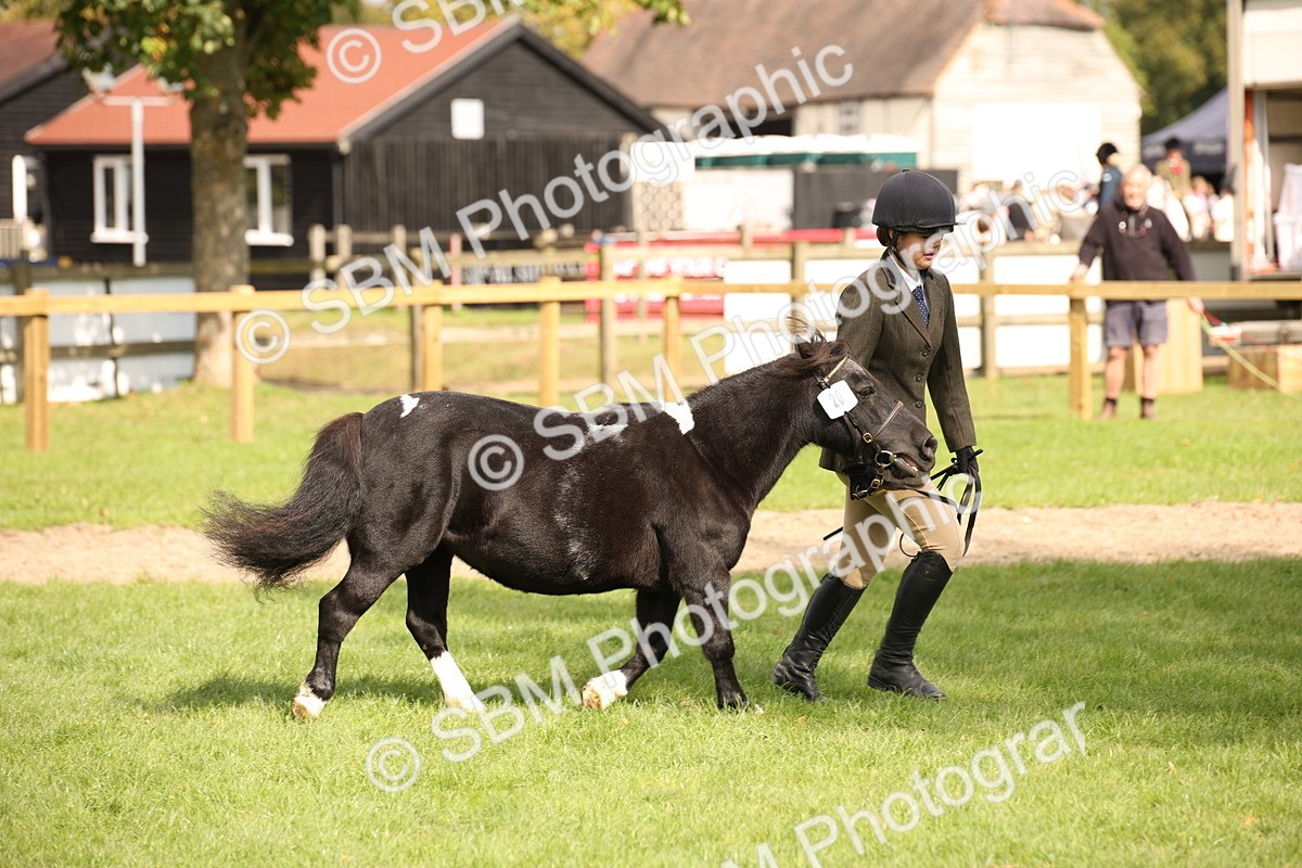 SBM_46379 - S25 - Mature Veteran In Hand