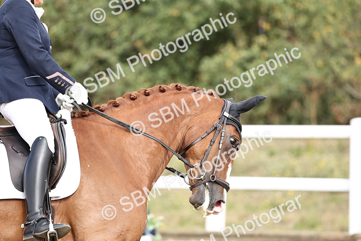 SBM_018228 - Class 16 - Novice 5 - 11.12-12.01