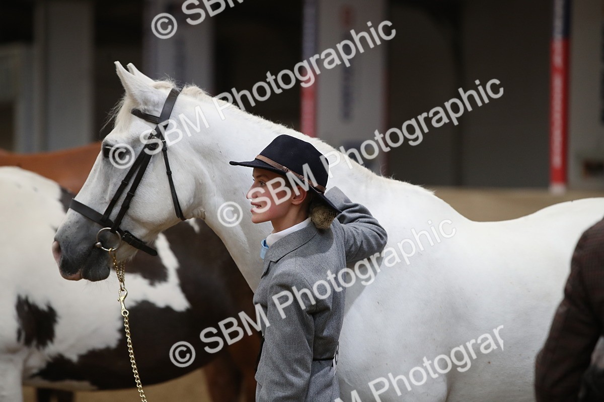 SBM_05678_Class9r - Regional - IH Pre Vet - Lily