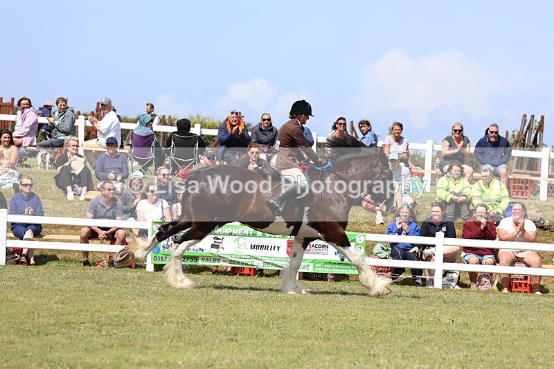 3E7A2929 - Class 13: Heavy Horse Ridden