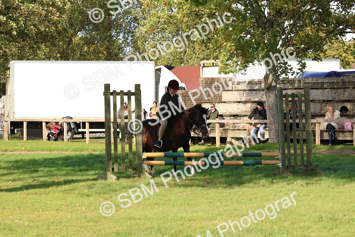 SBM_52538 - S13 - Pony Club Pony